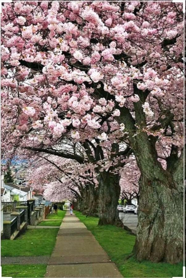 Dunbar Home Vancouver Bagian luar foto